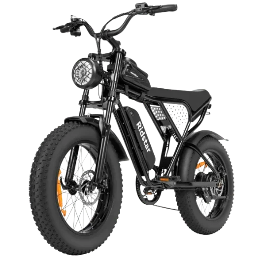 Ridstar Q20